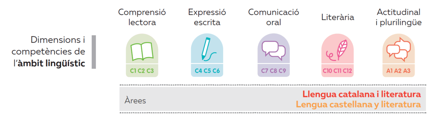 Dimensions i competències de l'àmbit lingüístic (català i castellà)